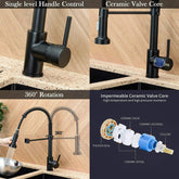 Matt Black Monobloc Kitchen Sink Mixer Tap