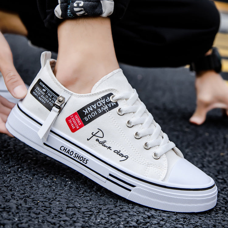 Mens Casual Everyday Canvas Shoes Trend