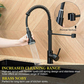 Matt Black Monobloc Kitchen Sink Mixer Tap